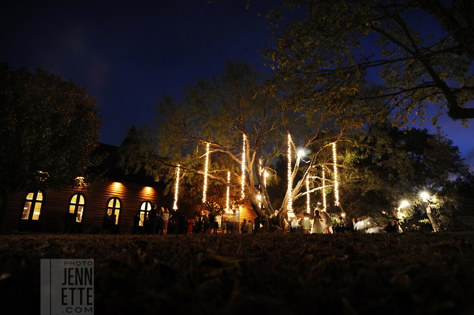 wedding photographer reception lights