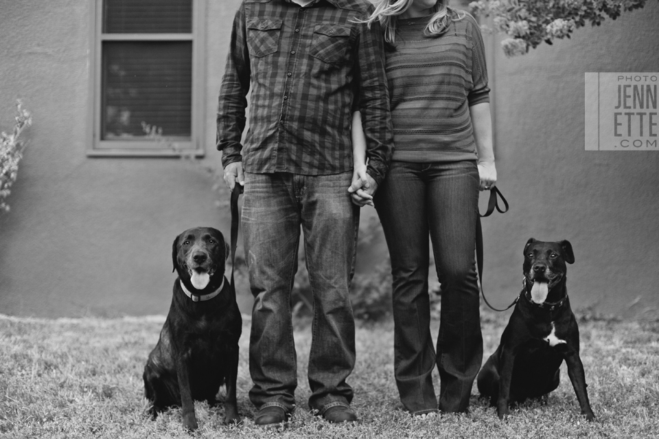 weddings dogs texas