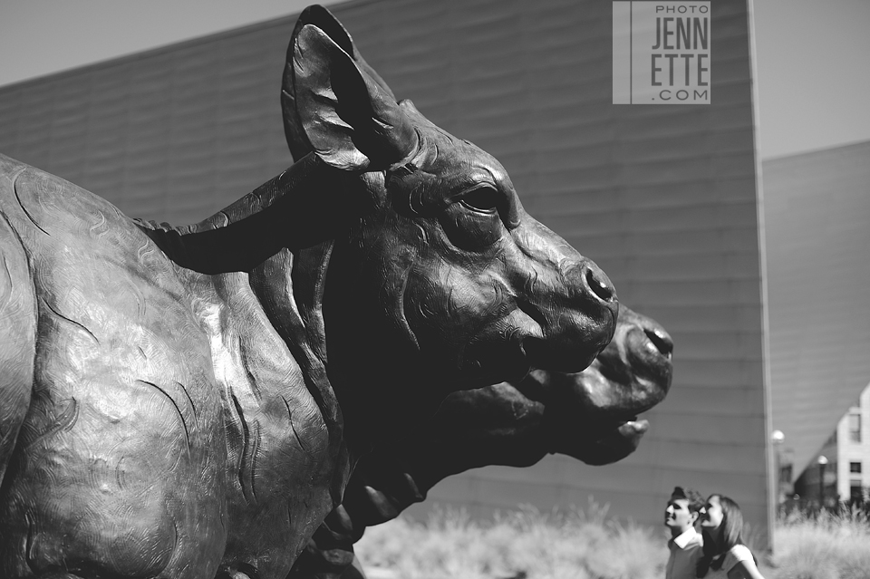 denver art museum engagement photography