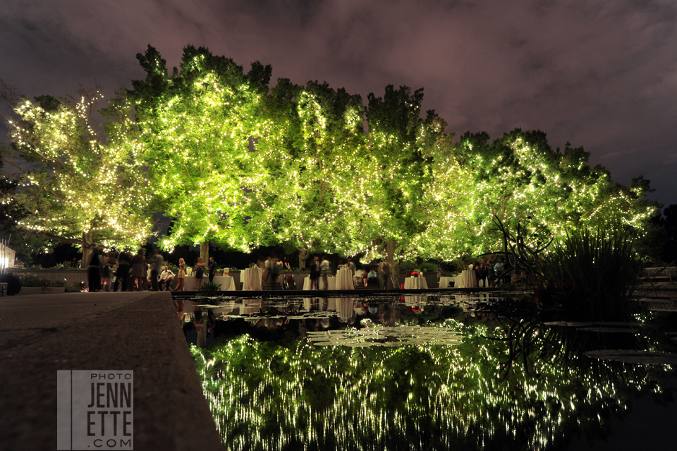 cheesman park wedding photographers