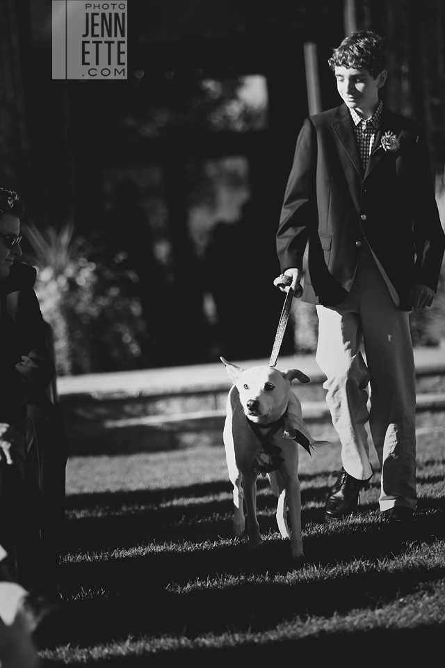 carbondale colorado wedding photography