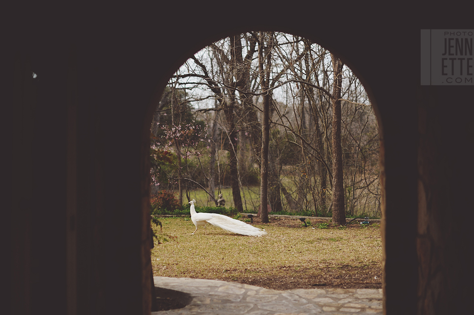 red corral ranch wedding photography ~ http://www.photojennette.com/kimberley&tina