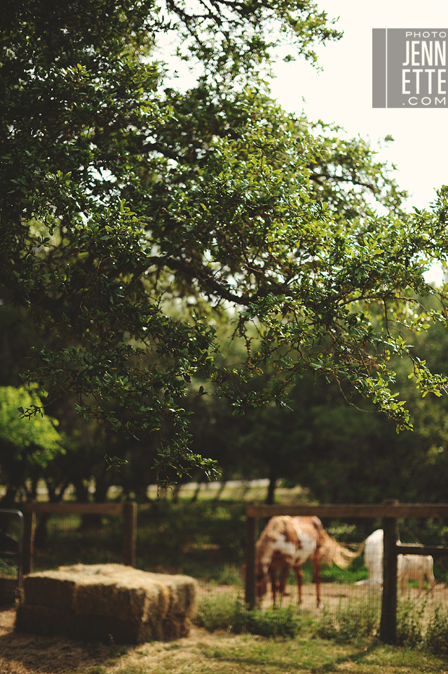 wild rose hall inn wedding photography | http://www.photojennette.com/wild-rose-hall-inn-wedding-photography-jordan-jp